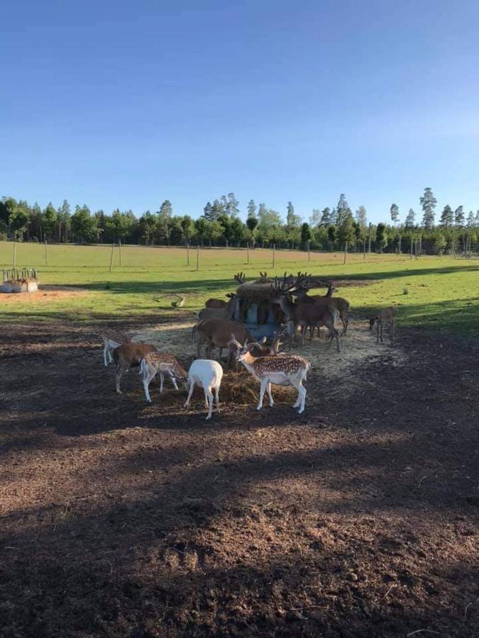 Sjoetorps Saeteris Bed & Breakfast Flygeln Larv Bagian luar foto