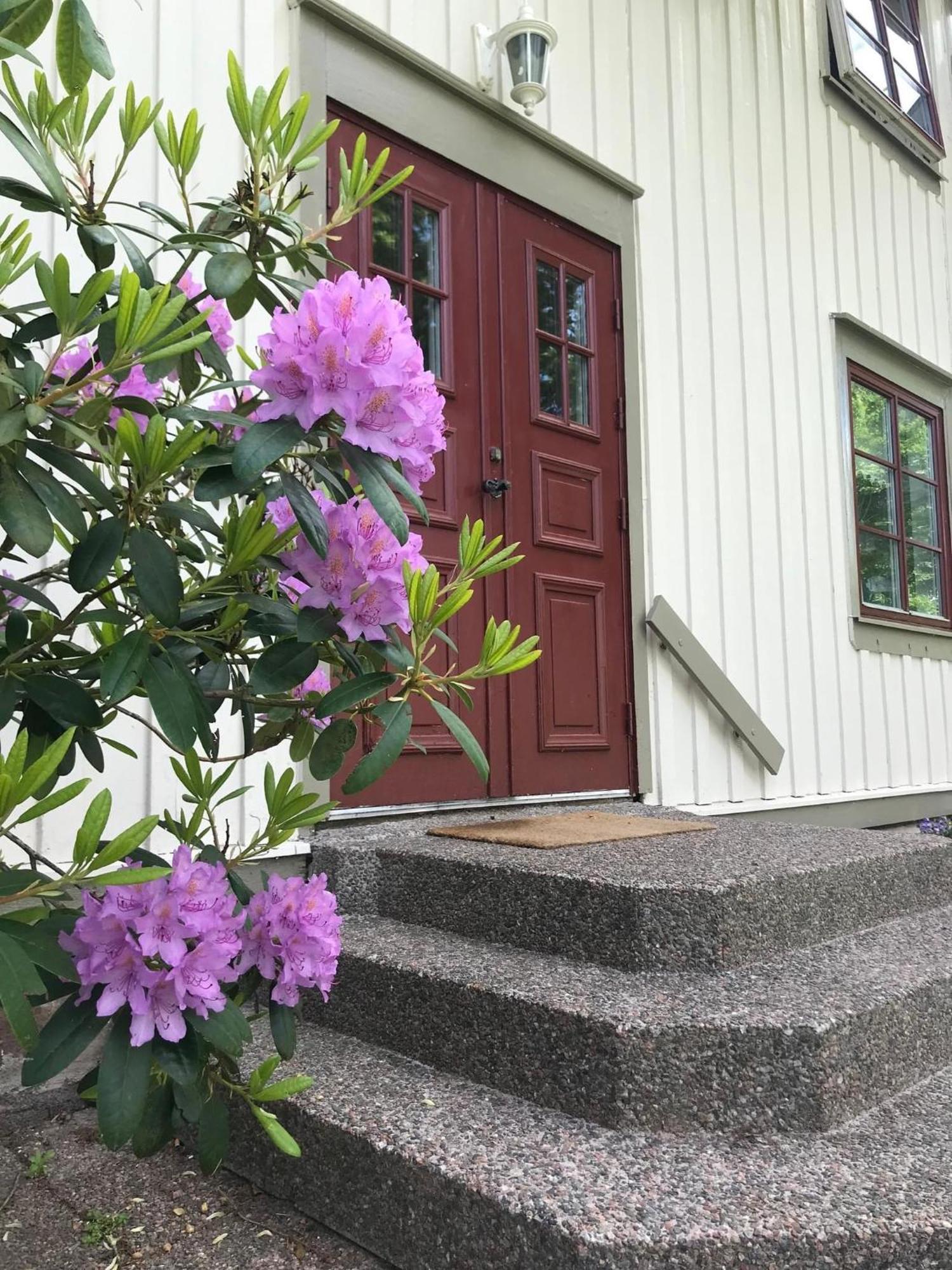 Sjoetorps Saeteris Bed & Breakfast Flygeln Larv Bagian luar foto
